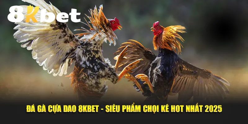 Đá gà cựa dao 8KBET - Siêu phẩm chọi kê hot nhất 2025