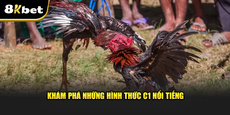 Khám phá những hình thức đá gà C1 nổi tiếng