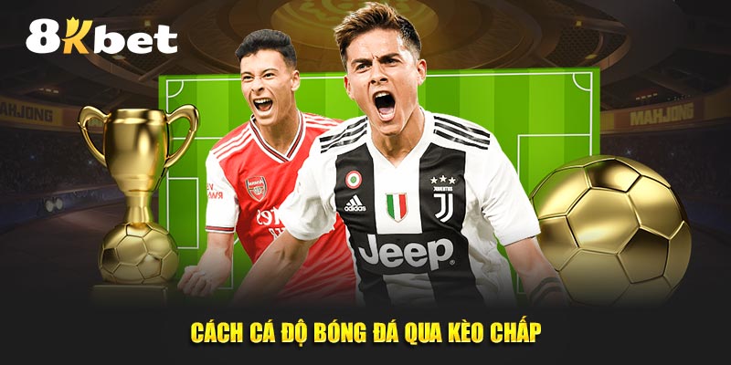 Cách cá độ bóng đá qua kèo chấp 8kbet